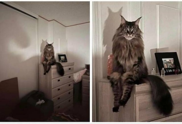 Creepy Finds (16 pics)