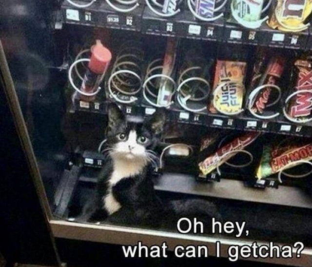 What Is Going On Here? (24 pics)