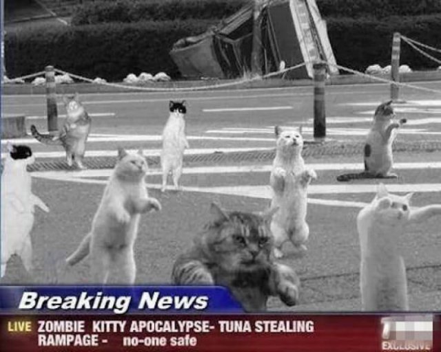 What Is Going On Here? (24 pics)