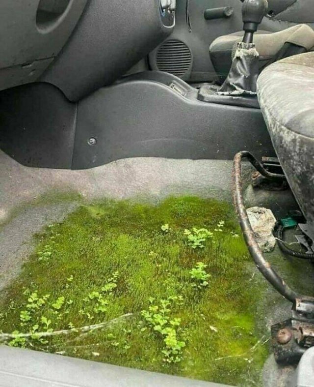 What Is Going On Here? (21 pics)