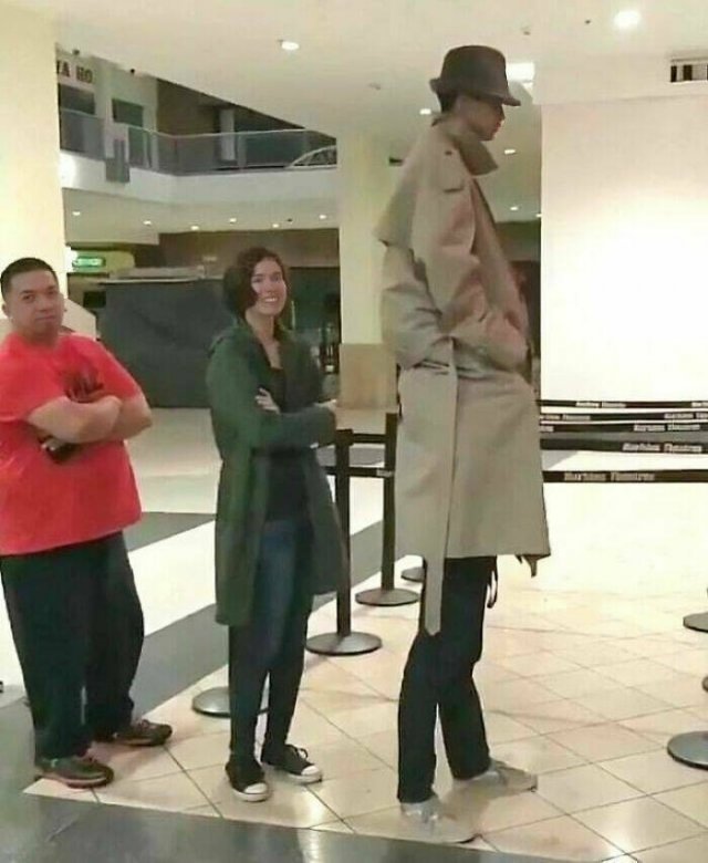 What Is Going On Here? (21 pics)