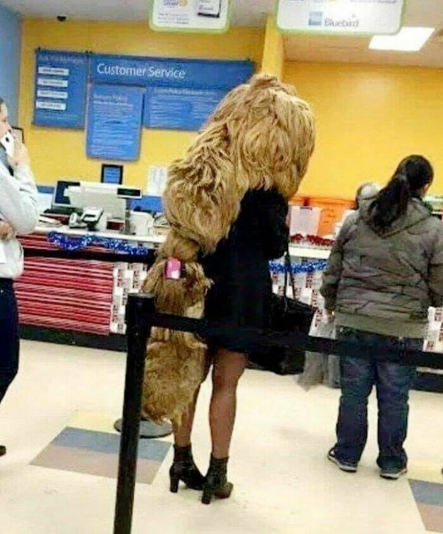 What Is Going On Here? (21 pics)