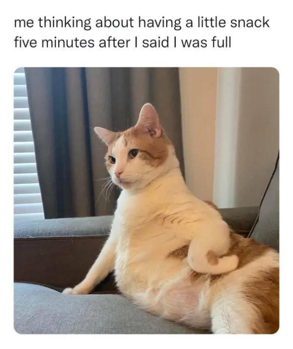 Funny Memes (21 pics)