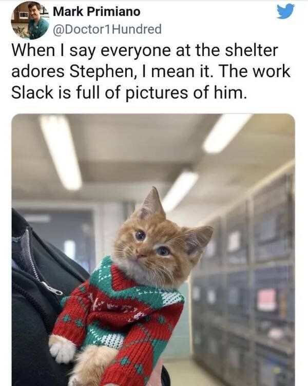 Funny Memes (21 pics)
