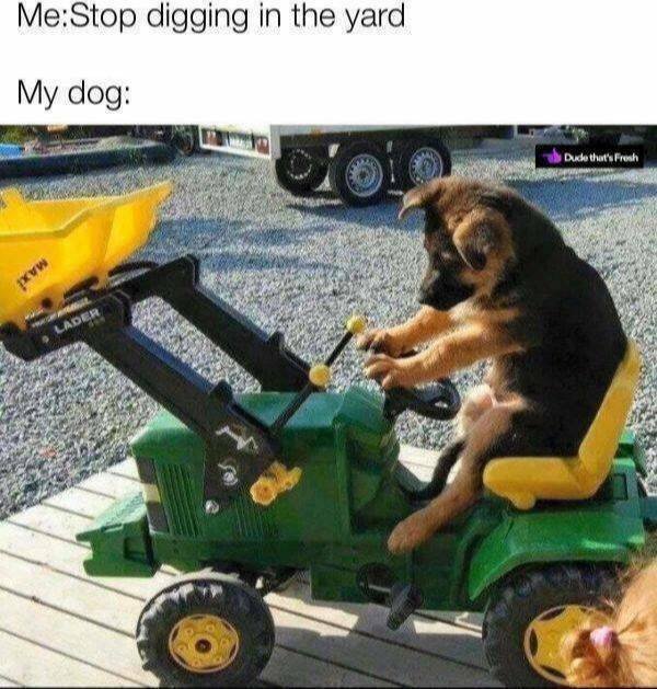 Funny Memes (21 pics)