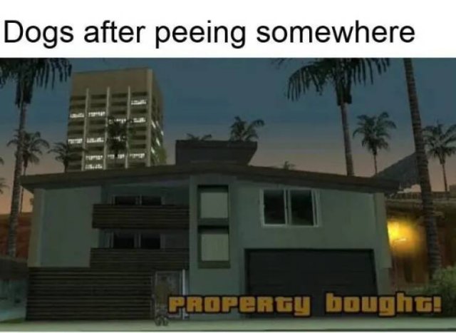 Funny Memes (21 pics)