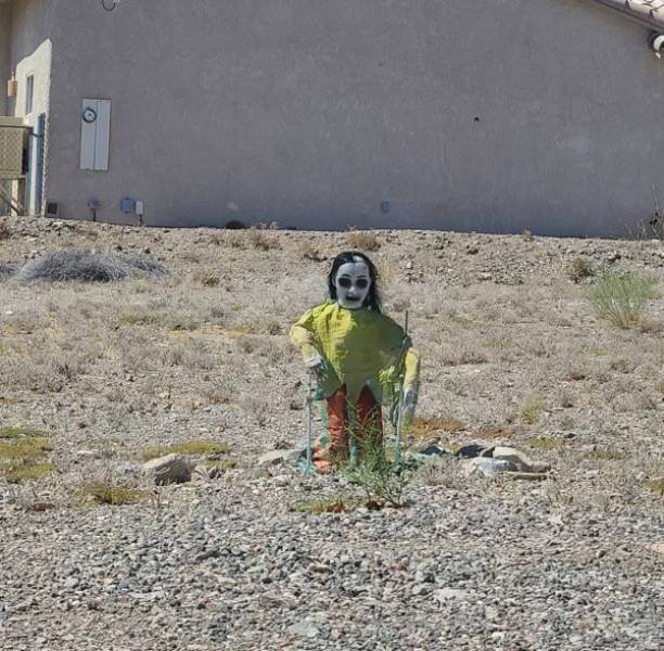 Odd Designs And Finds (31 pics)