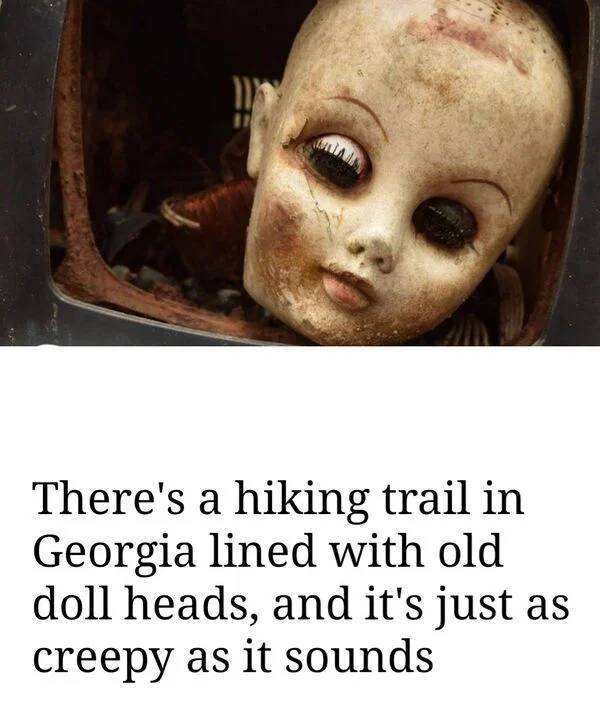 Odd Designs And Finds (31 pics)