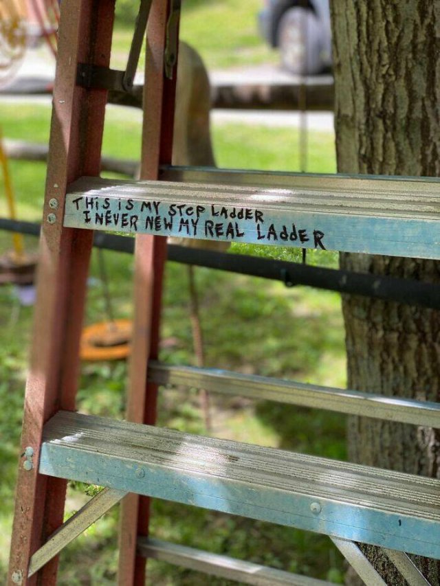 Funny Signs (25 pics)
