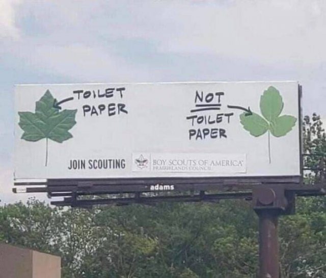 Funny Signs (25 pics)