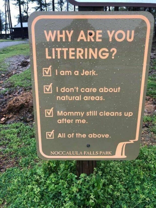 Funny Signs (25 pics)