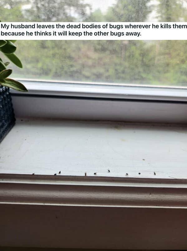 Partners Annoying Habits (19 pics)