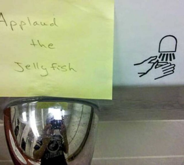 Funny Signs (25 pics)