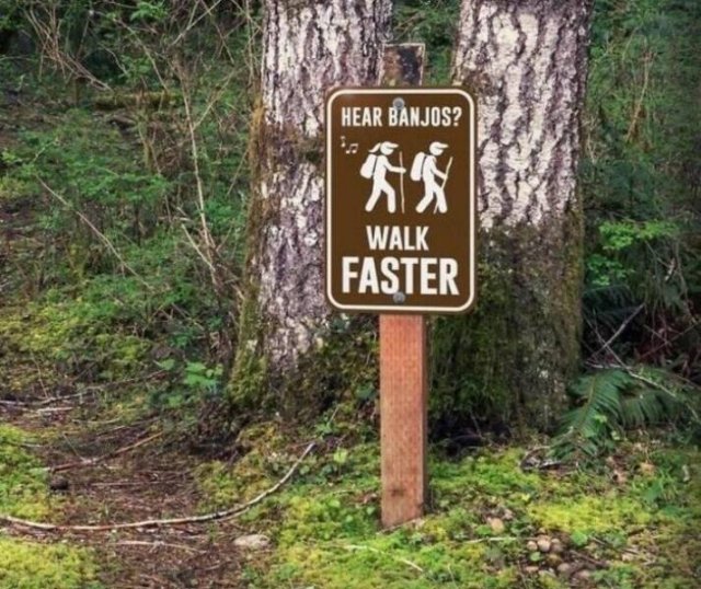 Funny Signs (25 pics)