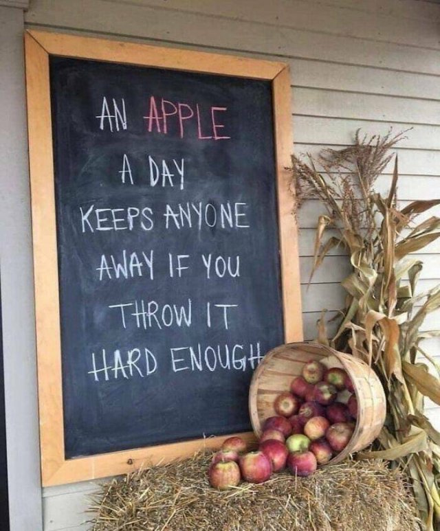 Funny Signs (25 pics)