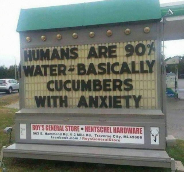 Funny Signs (25 pics)