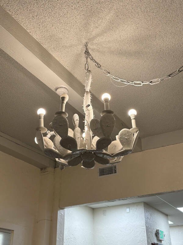What Is Going On Here? (21 pics)