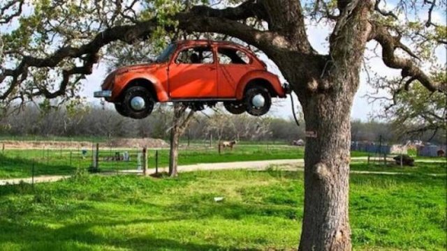 What Is Going On Here? (21 pics)