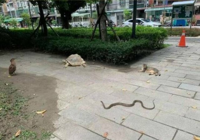What Is Going On Here? (21 pics)