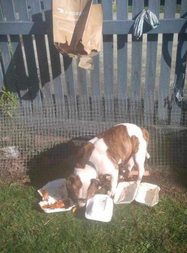 Bad Days Happen (15 pics)