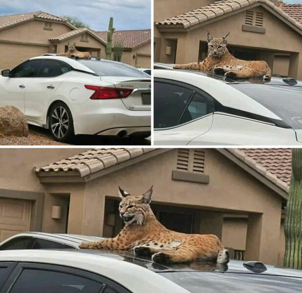 Bad Days Happen (15 pics)