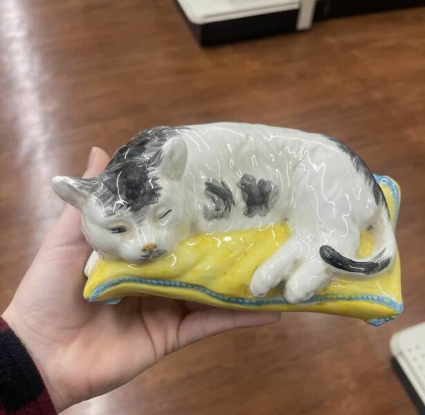Cool Finds In Thrift Stores (28 pics)