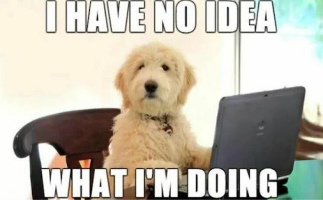 Memes With Animals (26 pics)