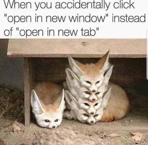 Memes With Animals (26 pics)