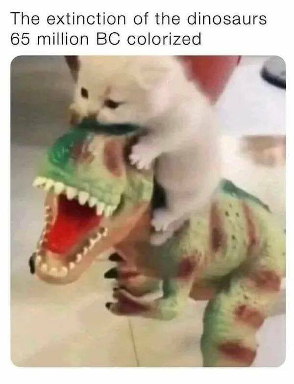 Memes With Animals (26 pics)