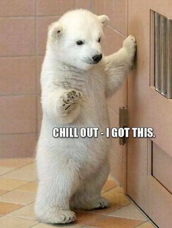 Memes With Animals (26 pics)