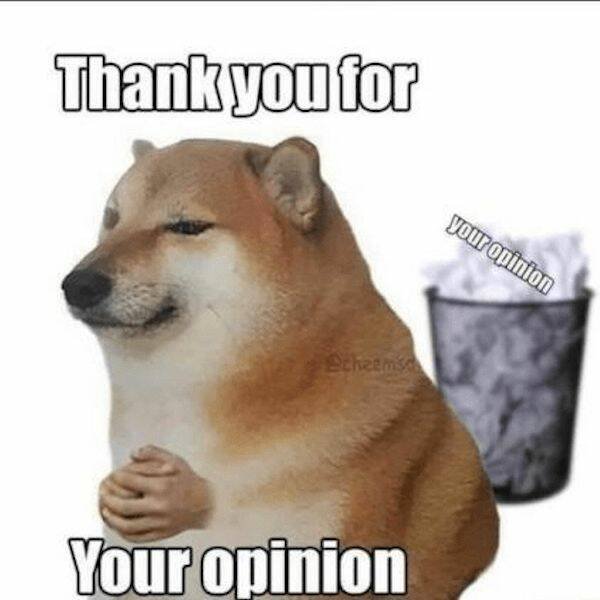 Memes With Animals (26 pics)