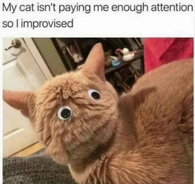 Memes With Animals (26 pics)