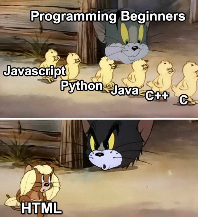 Memes About Programmers (21 pics)