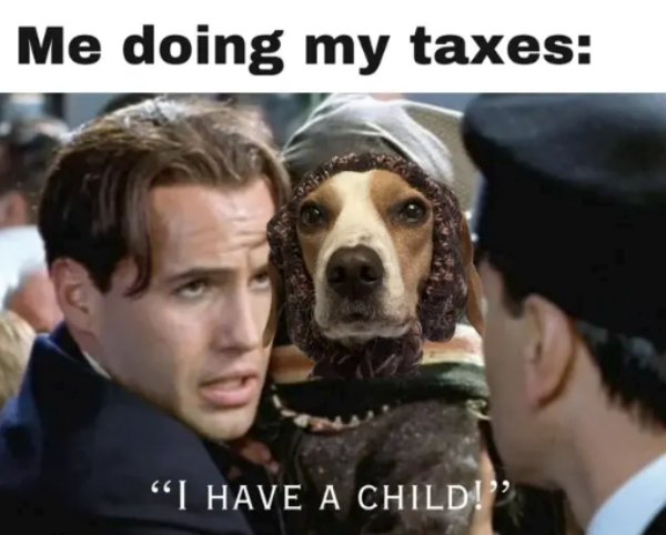 Jokes About Tax Season (25 pics)