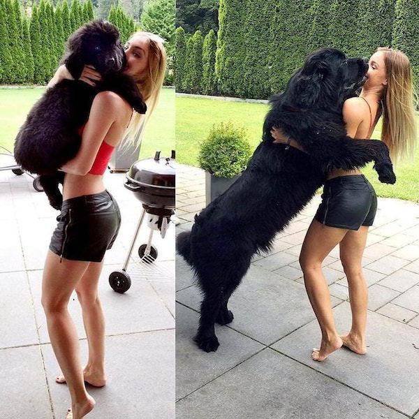 Dogs Grow Fast (28 pics)