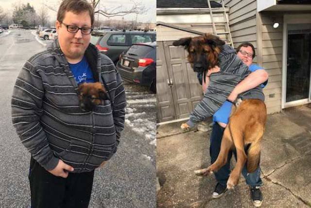 Dogs Grow Fast (28 pics)
