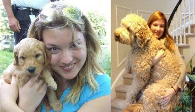 Dogs Grow Fast (28 pics)