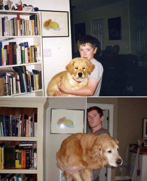 Dogs Grow Fast (28 pics)