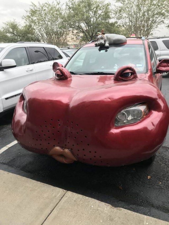 What Is Going On Here? (51 pics)