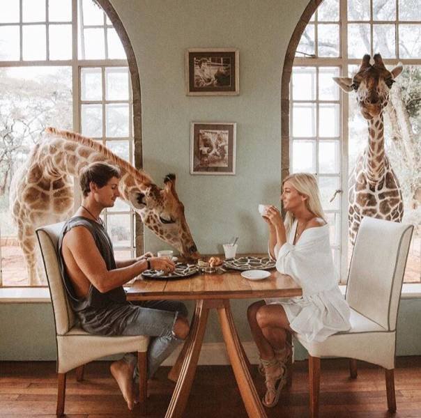 Perfect Photos From Around The World (53 pics)