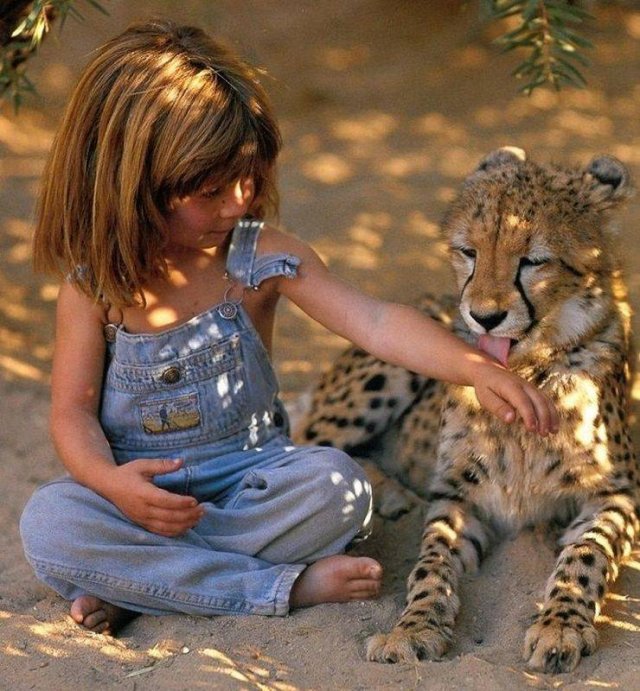 Perfect Photos From Around The World (53 pics)