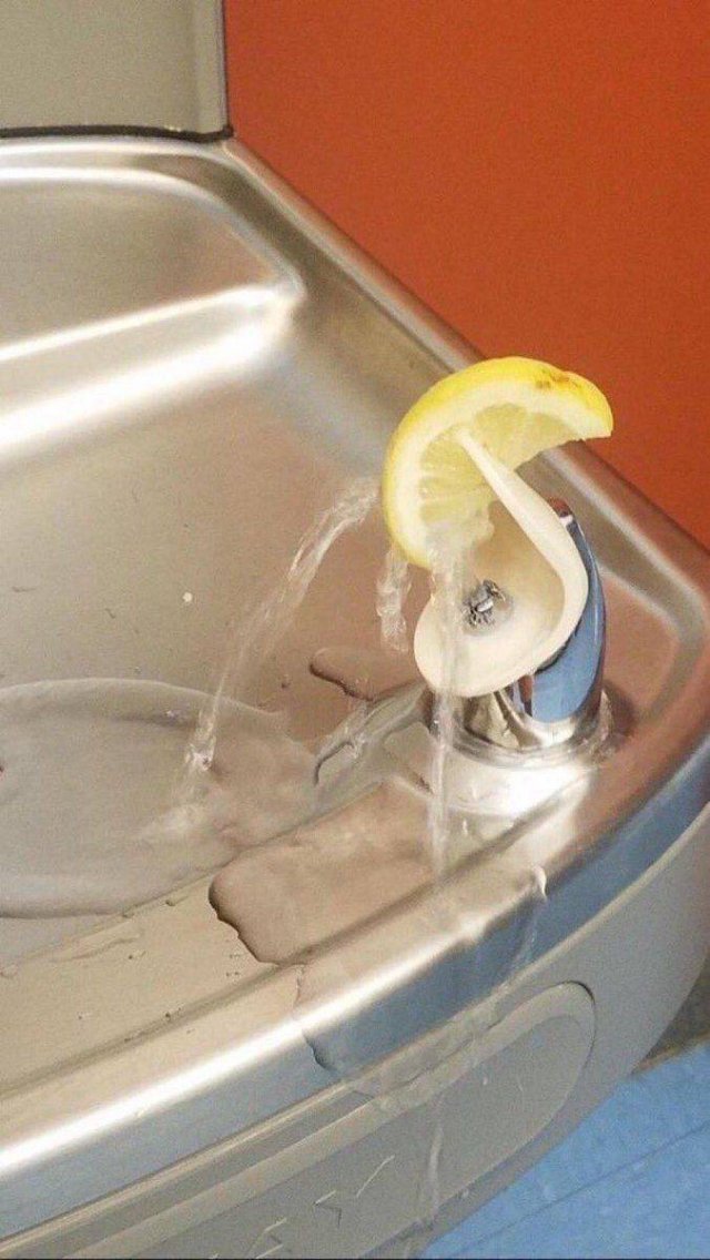 What Is Going On Here? (51 pics)