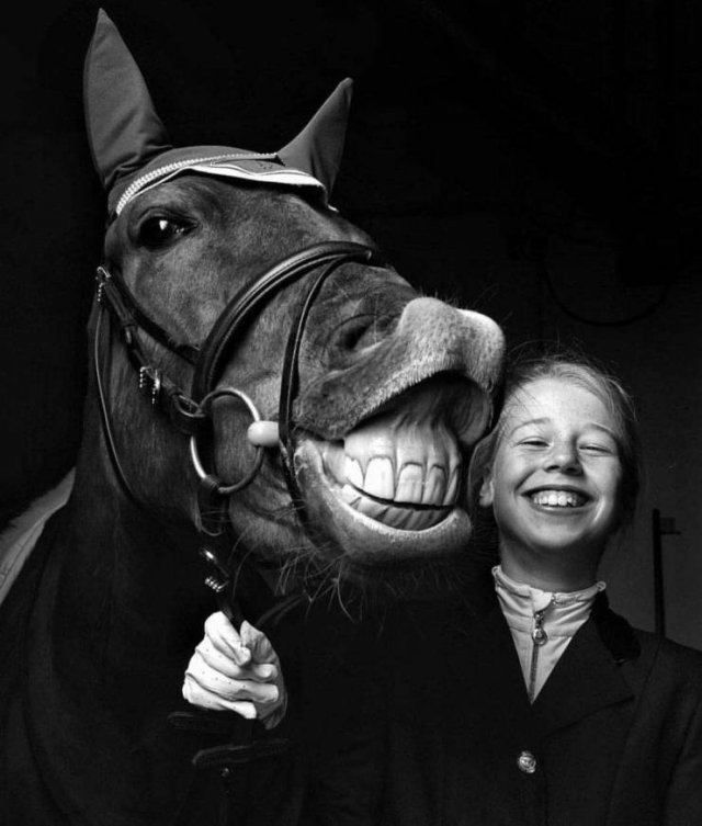Perfect Photos From Around The World (53 pics)