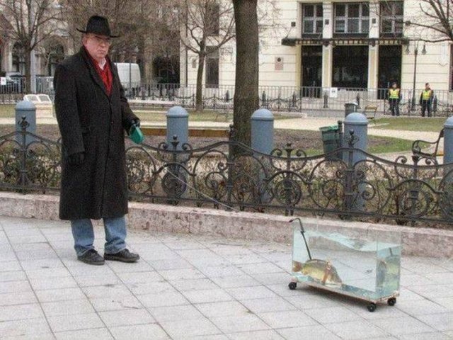 What Is Going On Here? (51 pics)