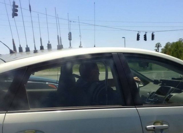 What Is Going On Here? (51 pics)
