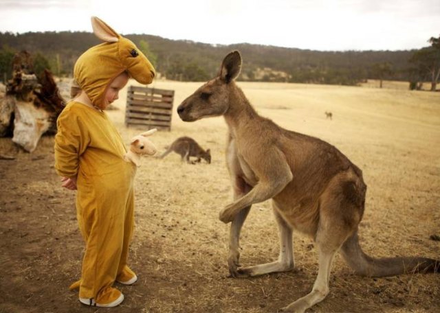 Perfect Photos From Around The World (53 pics)