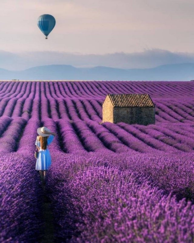 Perfect Photos From Around The World (53 pics)