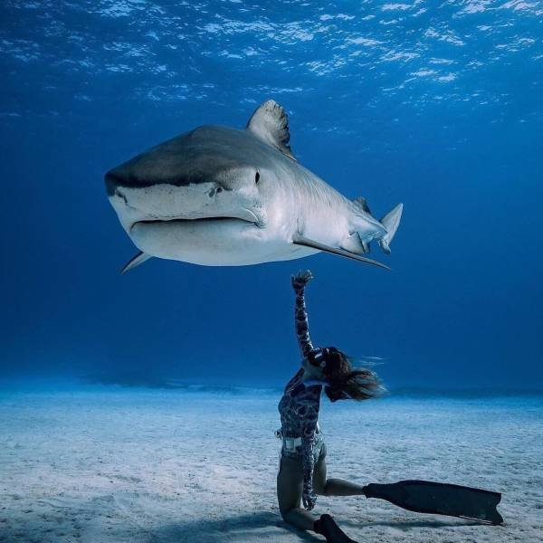 Perfect Photos From Around The World (53 pics)