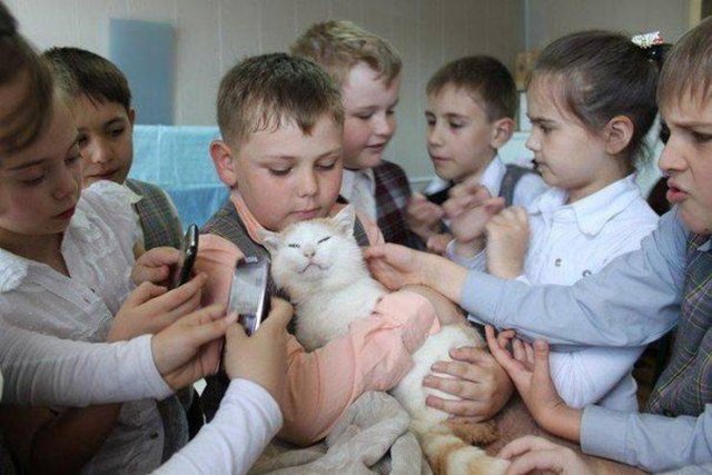 Perfect Photos From Around The World (53 pics)