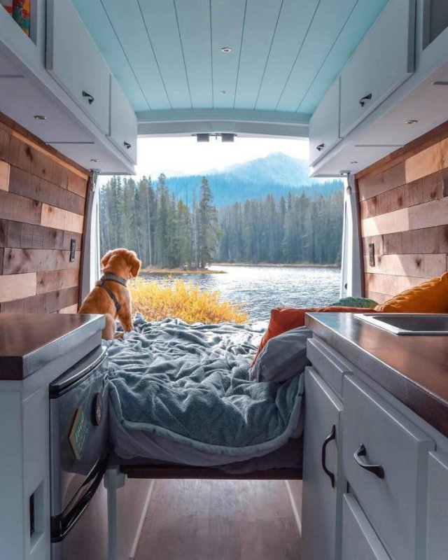 Perfect Photos From Around The World (53 pics)